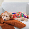 Dog Groovin Retro Pajama, Multi - Pajamas - 2