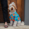 Dog Paradise BBQ Shirt, Blue - Shirts - 2