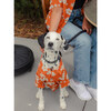 Dog Clay Hibiscus BBQ Shirt, Orange - Shirts - 2