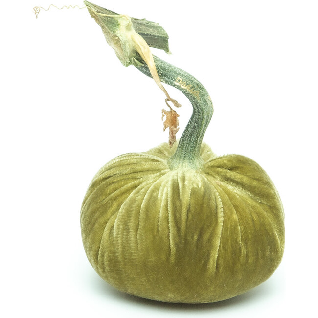 Velvet Pumpkin, Celery