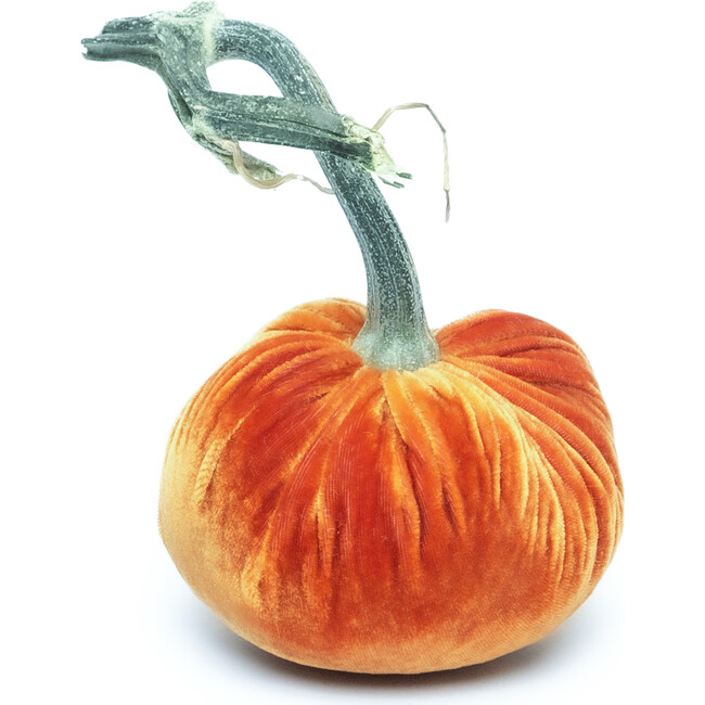 Velvet Pumpkin, Persimmon
