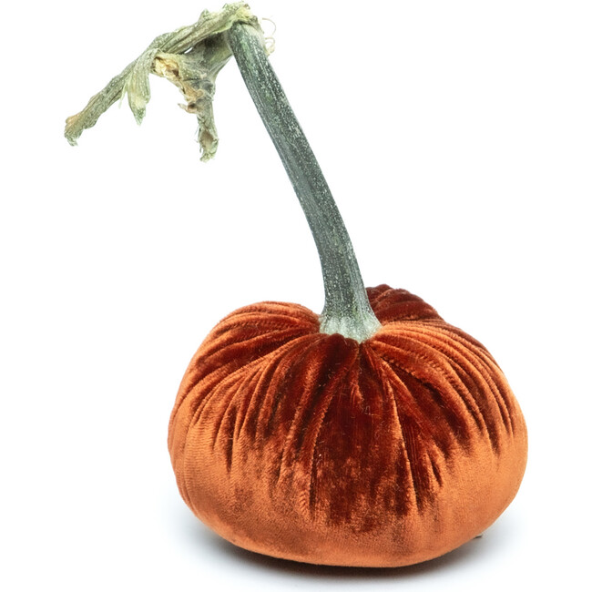 Velvet Pumpkin, Fire