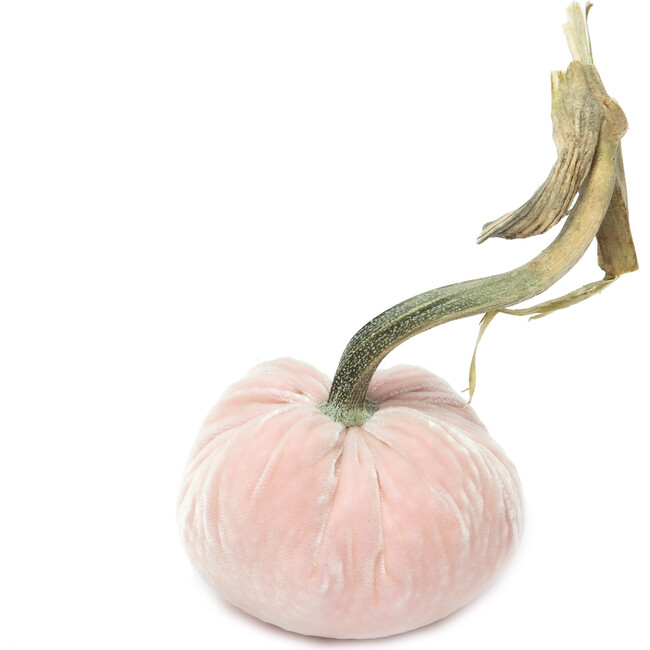 Velvet Pumpkin, Blush