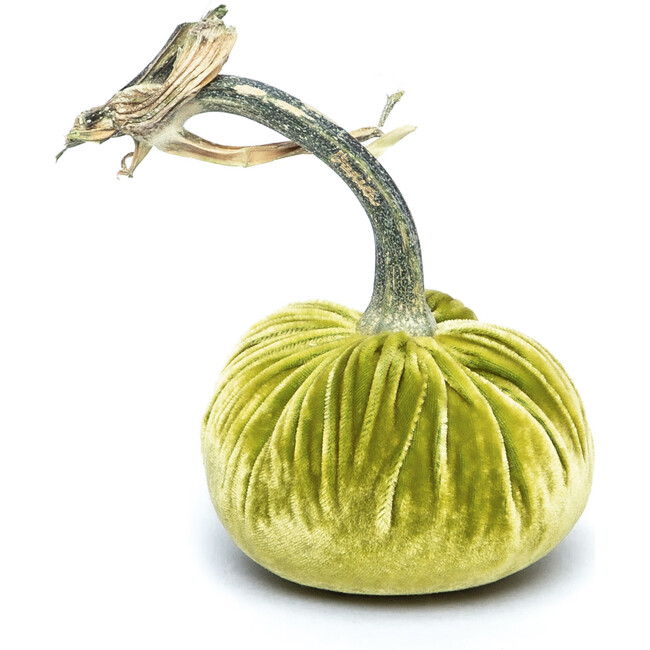 Velvet Pumpkin, Chartruese