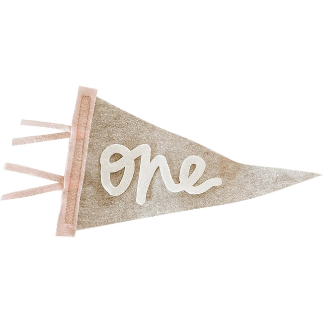 Monthly Milestone Mini Pennants, Beige and Light Pink - Wall Décor - 1