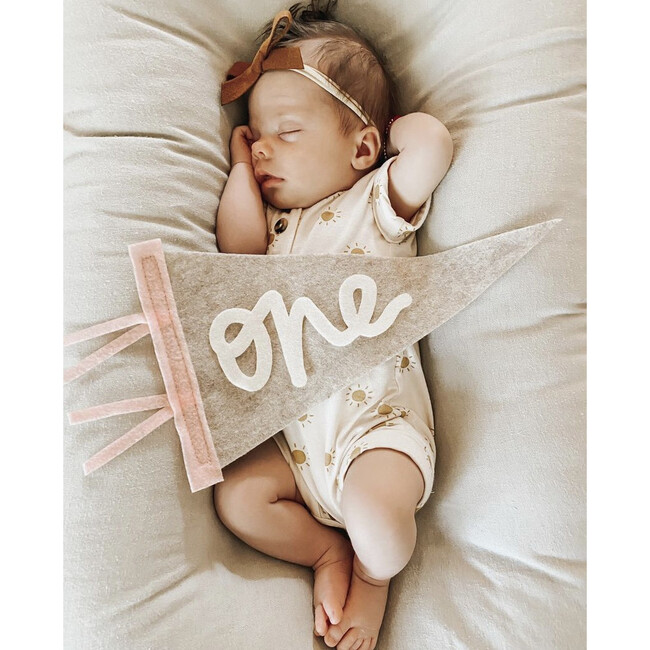 Monthly Milestone Mini Pennants, Beige and Light Pink - Wall Décor - 2
