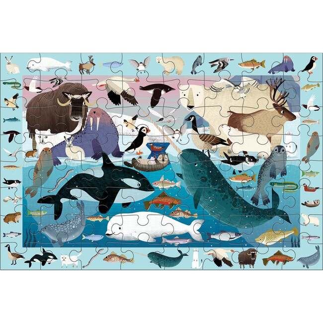 Search & Find Puzzle Set: Arctic & Ocean Life, multi - Puzzles - 3