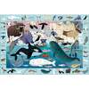 Search & Find Puzzle Set: Arctic & Ocean Life, multi - Puzzles - 3