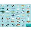 Search & Find Puzzle Set: Arctic & Ocean Life, multi - Puzzles - 5