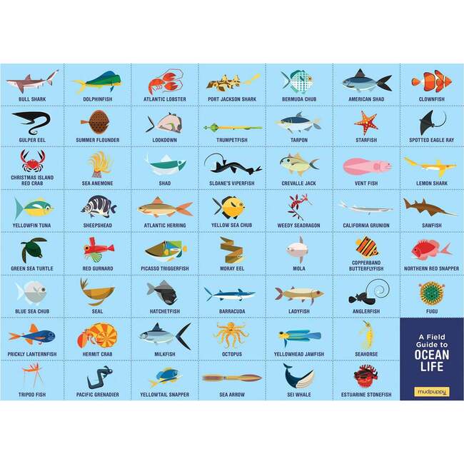 Search & Find Puzzle Set: Arctic & Ocean Life, multi - Puzzles - 6