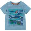 Baby Boy Shark Print Tee & Short Set, Multi - Mixed Apparel Set - 6