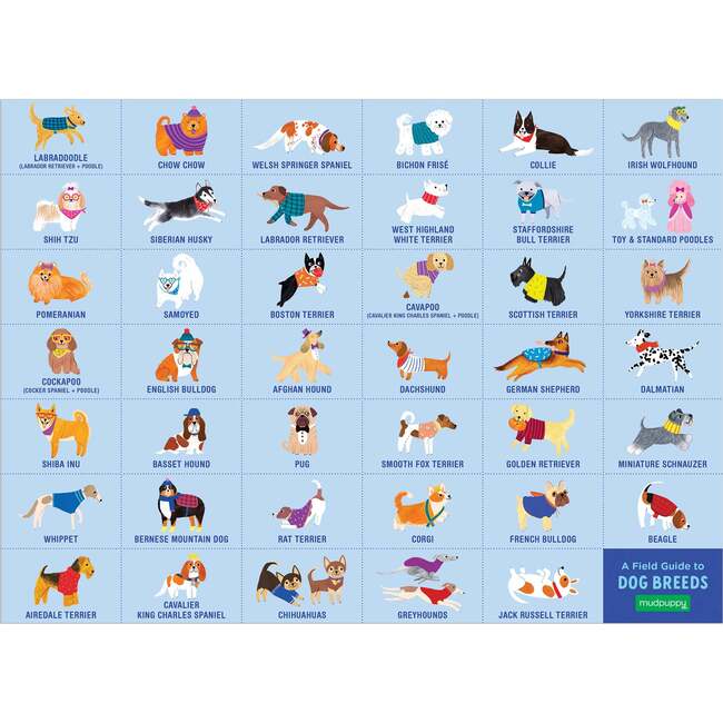 Search & Find Puzzle Set: Dog Park & The Great Outdoors, multi - Puzzles - 5