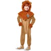 Wizard Of Oz Cowardly Lion Boy's Costume - Costumes - 2