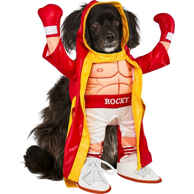 Rocky Pet Costume
