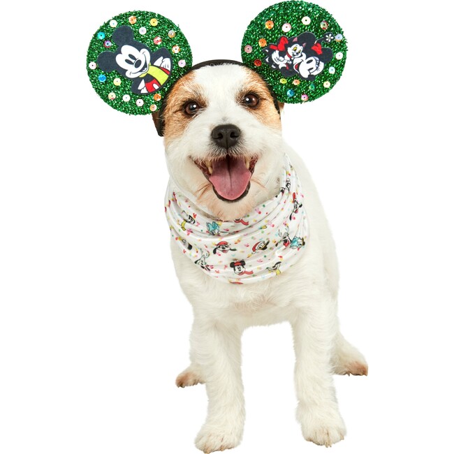 Mickey Mouse Holiday Pet Accessory
