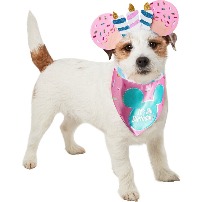Mickey Mouse Birthday Pet Accessory