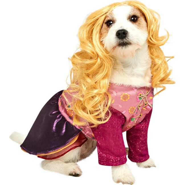 Hocus Pocus Sarah Pet Costume