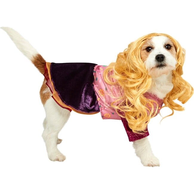 Hocus Pocus Sarah Pet Costume - Costumes - 2