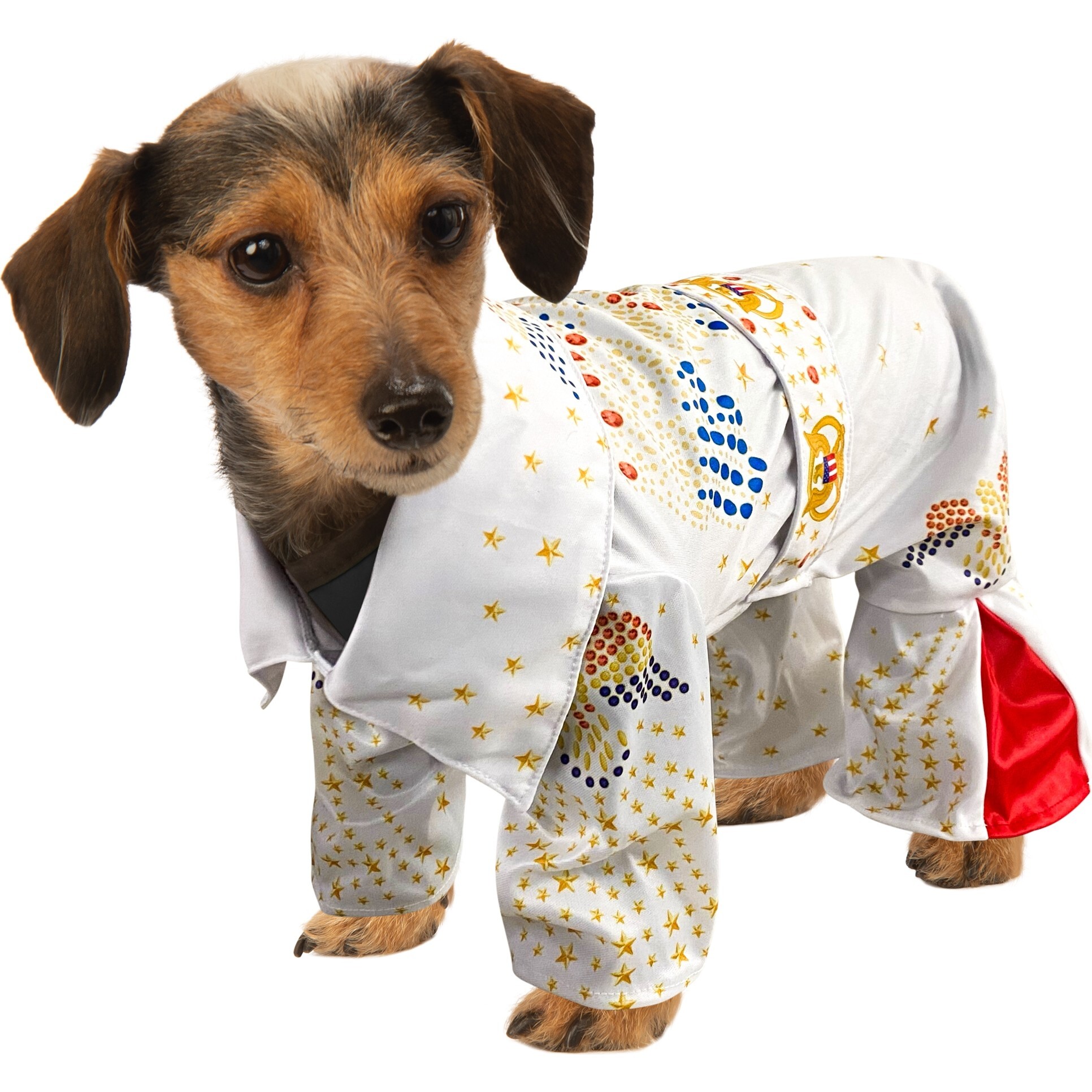 Elvis Presley Pet Costume - Costumes - 1