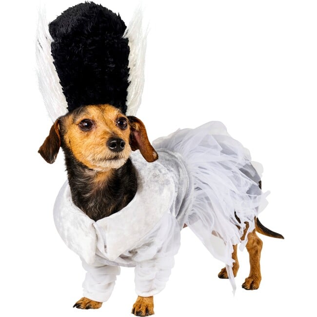 Bride Of Frankenstein Pet Costume