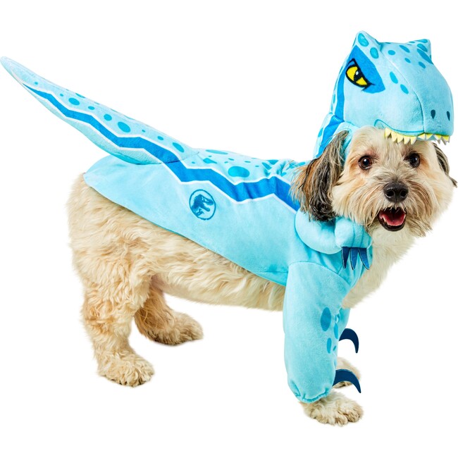 Blue Velociraptor Pet Costume