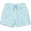 Deck Stripe II Swim Trunks, Blue - Swim Trunks - 1 - thumbnail