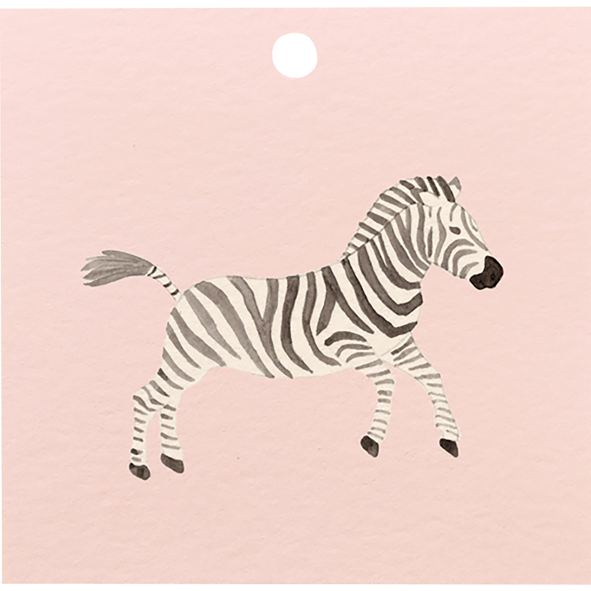 Pink Pastel Zebra Square Gift Tags – Gloster Road Co