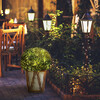 Rounded Artificial Topiary Shrub Pre-Lit with Solar Powered LED Lights in Farmhouse Style Garden Box Planter for Indoor or Outdoor Use - Outdoor Home - 3