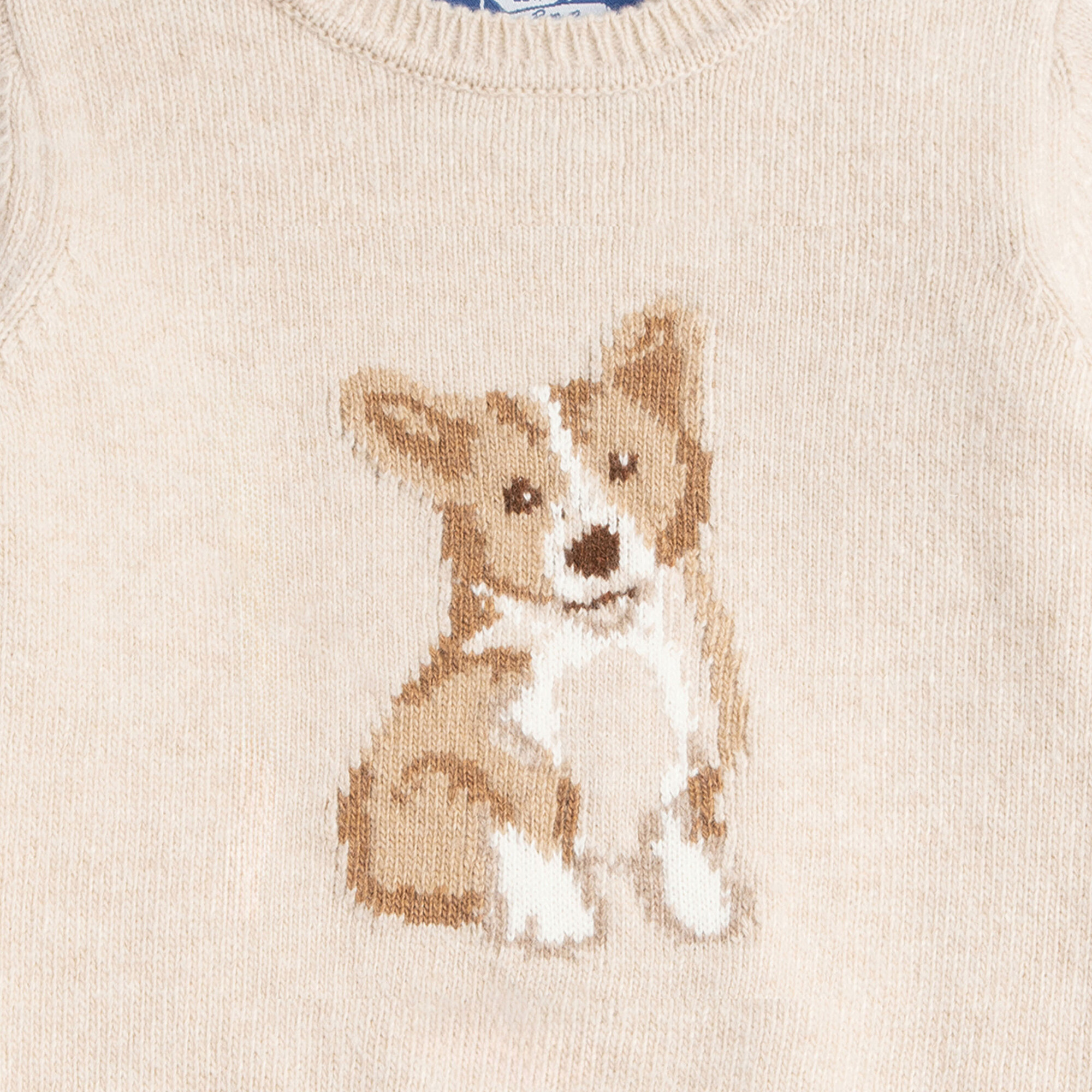 Little Corgi Sweater Oatmeal Trotters London Sweaters Maisonette