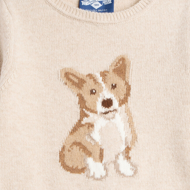 Corgi hotsell in sweater