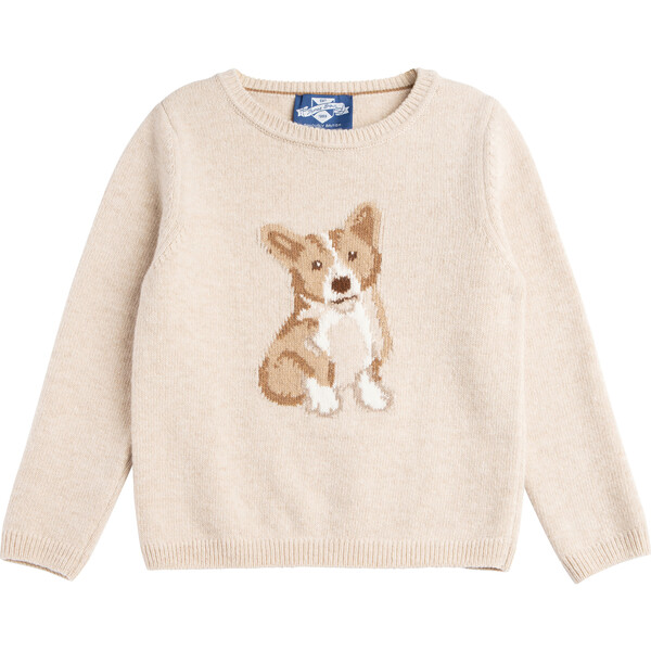 Corgi clearance in sweater