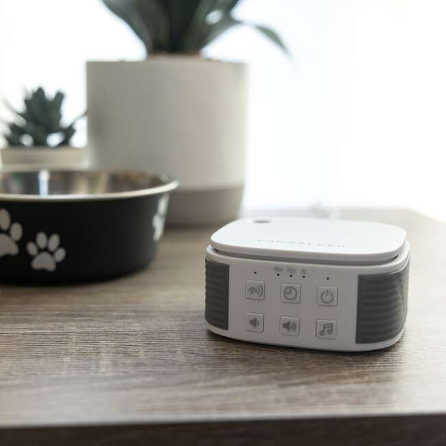 Pawzz Travel Sound Machine, Dogs - Other Accessories - 6
