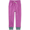 Solid Everyday Joggers, Purple - Pants - 1 - thumbnail