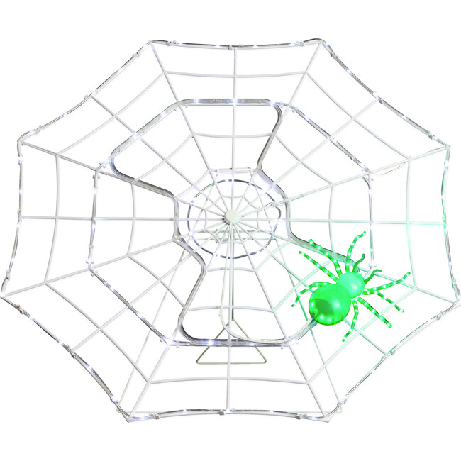Outdoor Animated Spider Web