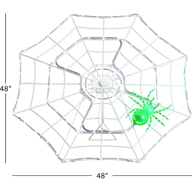 Outdoor Animated Spider Web - Accents - 8