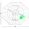 Outdoor Animated Spider Web - Accents - 8