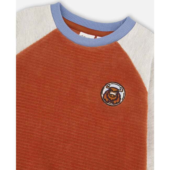 Color-Block Raglan Sleeve Velvet Sweatshirt, Burnt Orange & Blue - Sweatshirts - 4