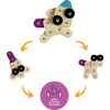 Kitty Kitten Transforming Li'l Knoppers - STEM Toys - 3