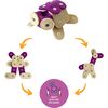 Coco Tortoise Transforming Li'l Knoppers - STEM Toys - 3