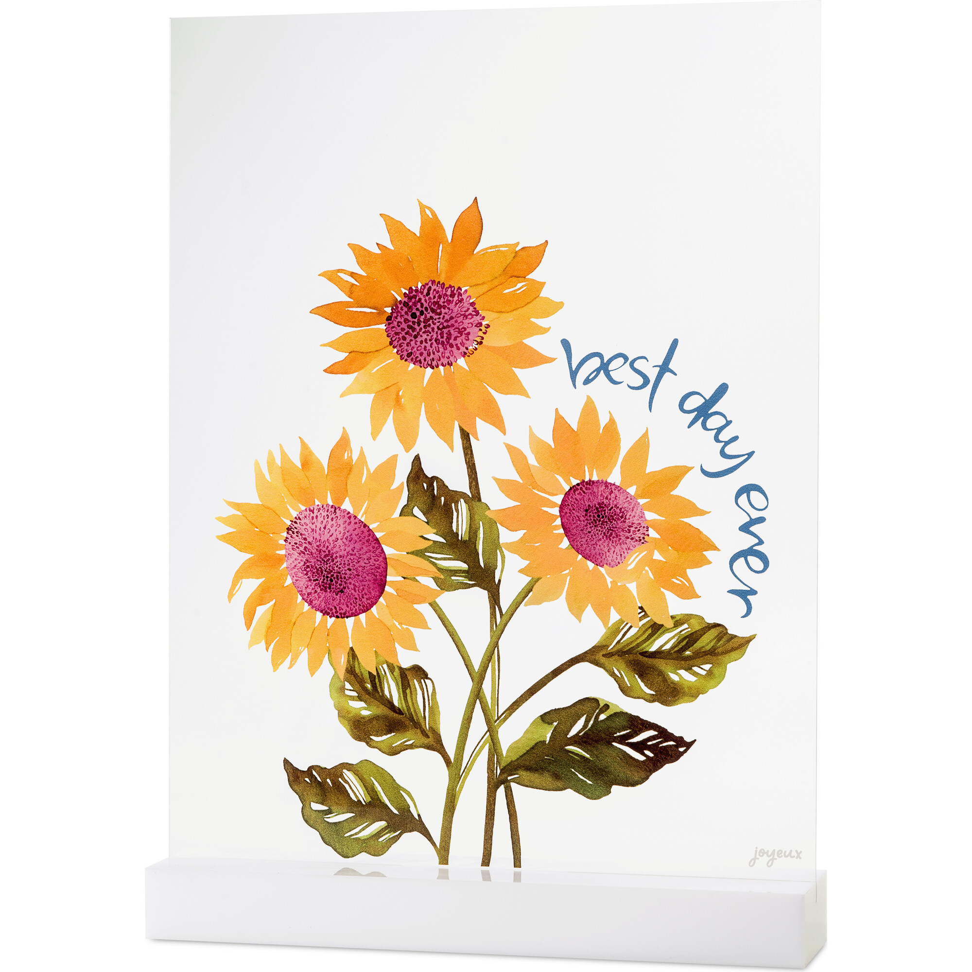 Best Day Ever Acrylic Table Top Sign - Party Accessories - 1