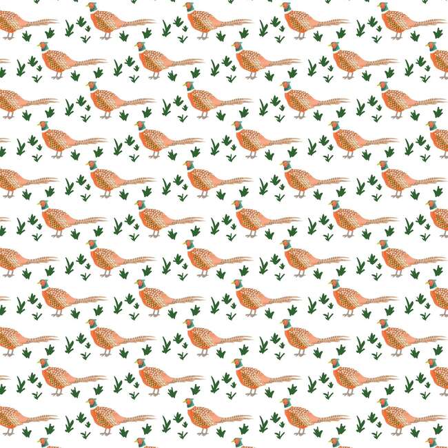 Palmer Boys' Bubble, Pheasants - Onesies - 2