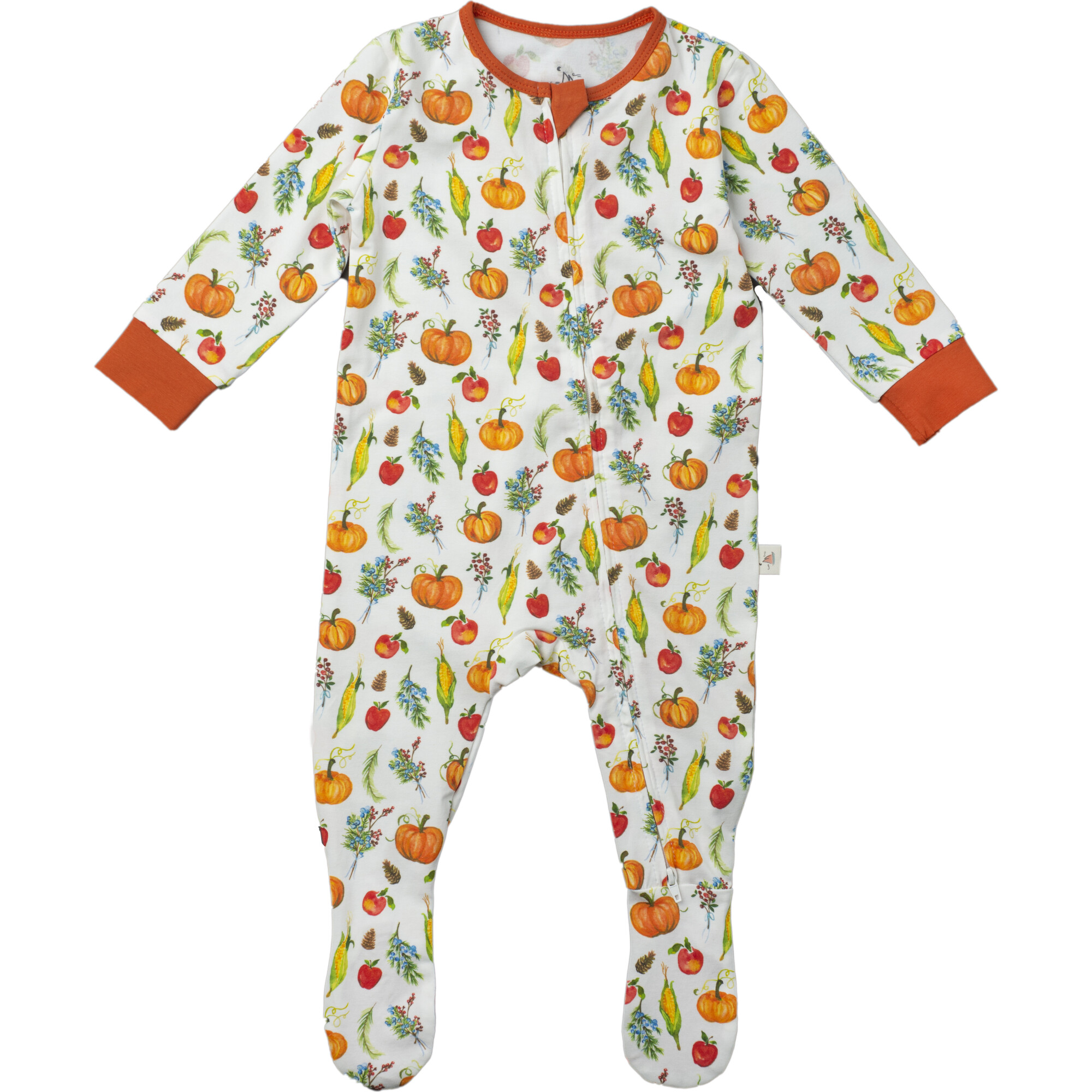 Double Zip Footed One Piece PJ, Fall Harvest Pumpkins - Footie Pajamas - 1