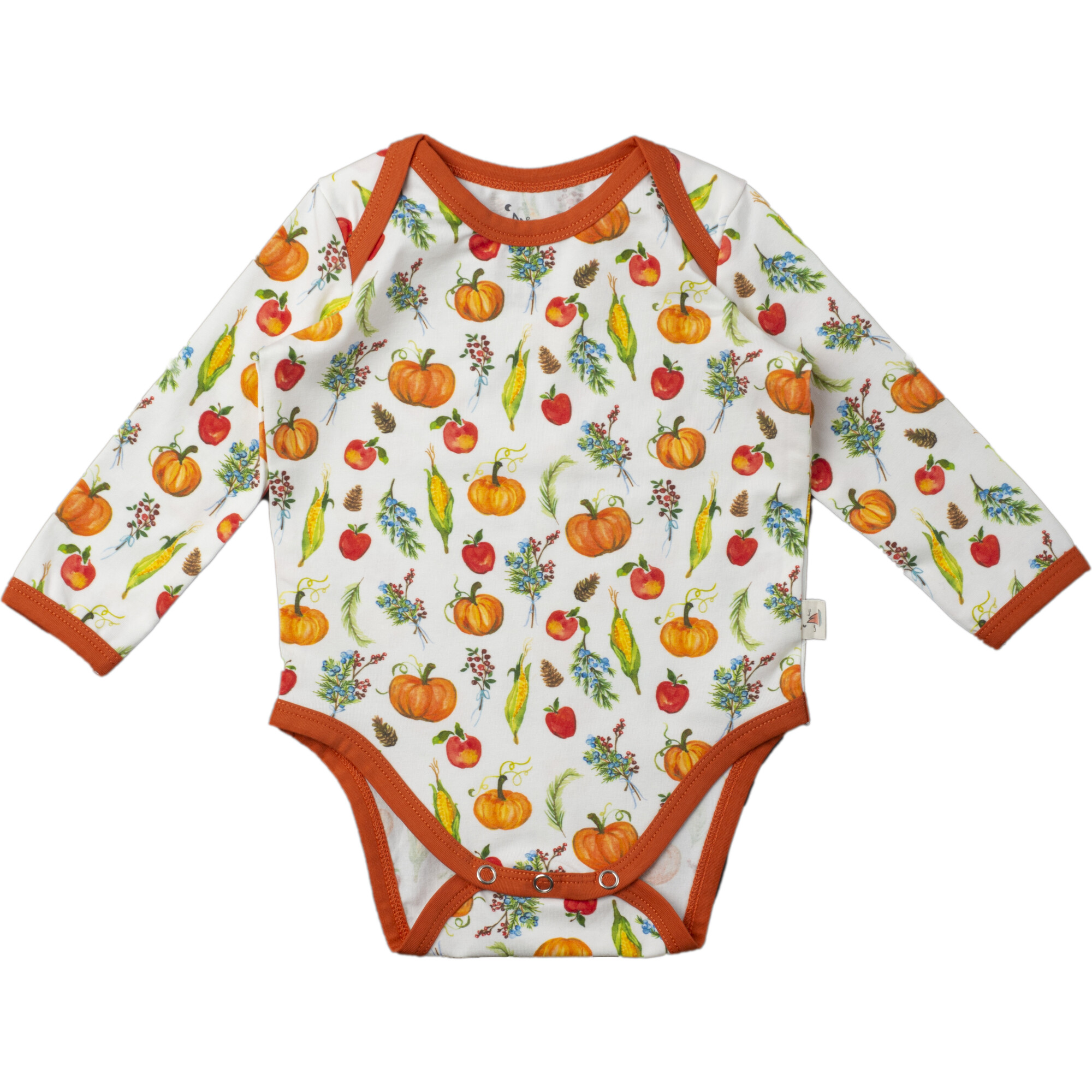 Long Sleeve Bodysuit, Fall Harvest Pumpkins - Bodysuits - 1