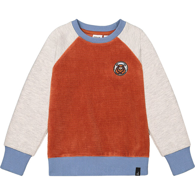 Color-Block Raglan Sleeve Velvet Sweatshirt, Burnt Orange & Blue