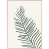 Safari Palm Leaves Art Print - Wall Décor - 1 - thumbnail