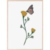 Poppy Flower & Monarch Butterfly Art Print - Wall Décor - 1 - thumbnail