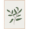 Cocoon Leaves Art Print - Wall Décor - 1 - thumbnail