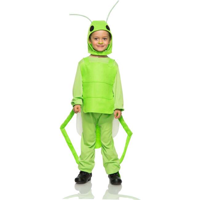 Flying Grasshopper, Green