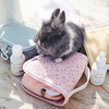 See-Ya Wash Bag, Pink Daisies - Bags - 5