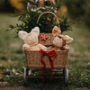 Cozy Dinkum Plush, Fawny Twinkle - Plush - 6